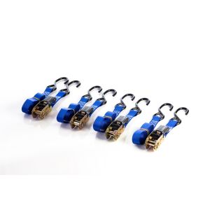 Erickson 1'' X 10' Tie Down Ratchet Straps 01415
